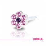 Blomdahl Kolczyk Daisy rose/amethyst 1 szt.