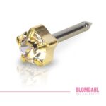 Blomdahl Kolczyk Golden titanium crystal 4mm