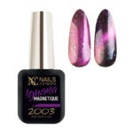 Nails Company Iguana Magnetique 2003 6ml